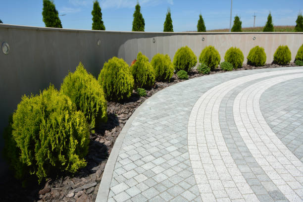 Best Custom Driveway Pavers  in Palmer Ranch, FL